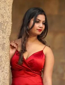 call girl service in Rehli